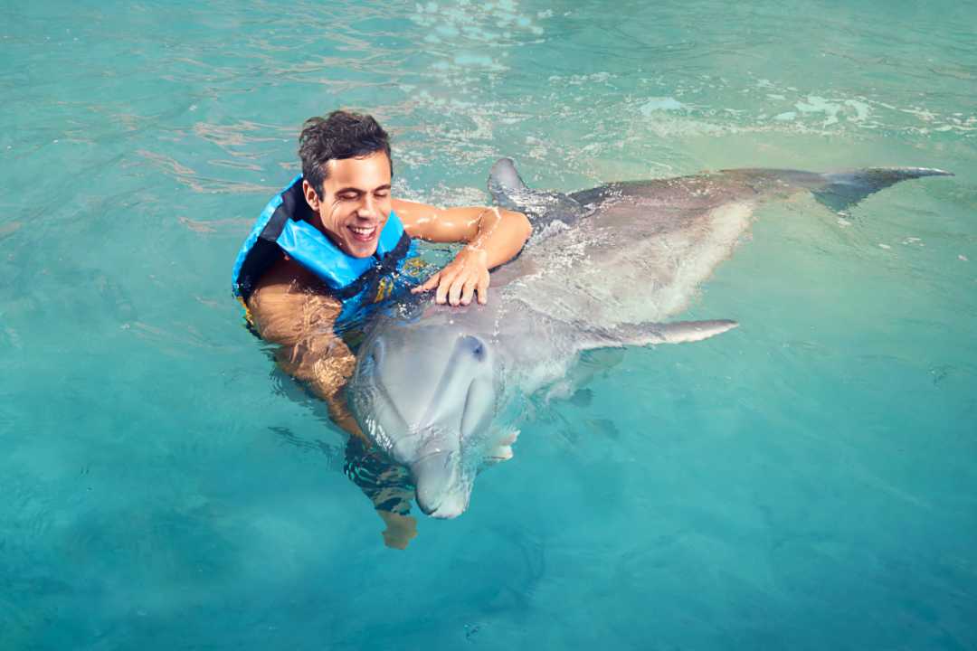 Dolphin Cove